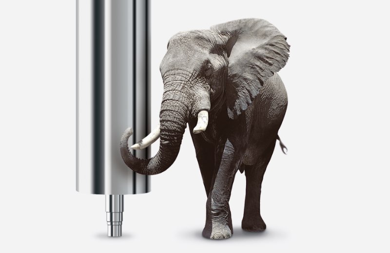 Grafikdesign Inseratekampagne