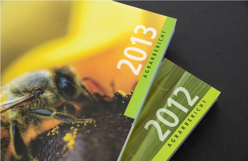 Grafikdesign Jahresbericht