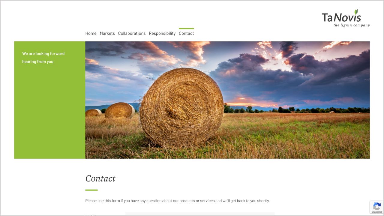 Website-Tanovis-6.jpg