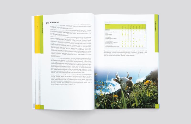 Gestaltung Geschäftsbericht